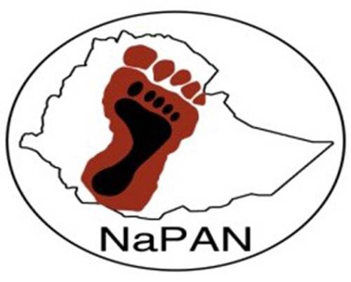 National Podoconiosis Action Network (Ethiopia)